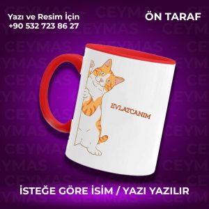 Kişiye Özel Sarman Kedi Baskılı İsimli Renkli Kupa Bardak