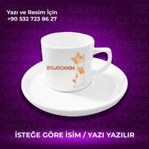 Kişiye Özel Sarman Kedi Baskılı İsimli Renkli Kupa Bardak