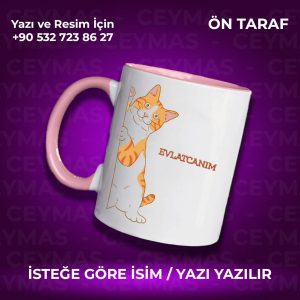Kişiye Özel Sarman Kedi Baskılı İsimli Renkli Kupa Bardak