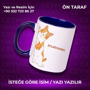 Kişiye Özel Sarman Kedi Baskılı İsimli Renkli Kupa Bardak