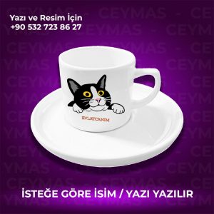 Kişiye Özel İsim Baskılı Siyah Beyaz Kedili Renkli Kupa Bardak