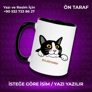 Kişiye Özel İsim Baskılı Siyah Beyaz Kedili Renkli Kupa Bardak