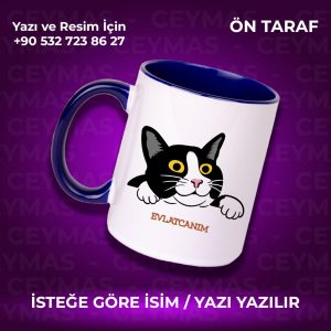 Kişiye Özel İsim Baskılı Siyah Beyaz Kedili Renkli Kupa Bardak