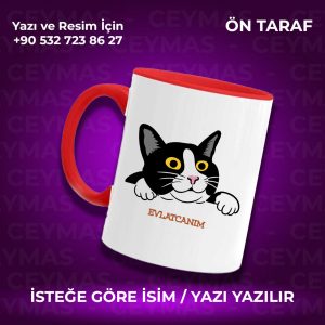 Kişiye Özel İsim Baskılı Siyah Beyaz Kedili Renkli Kupa Bardak